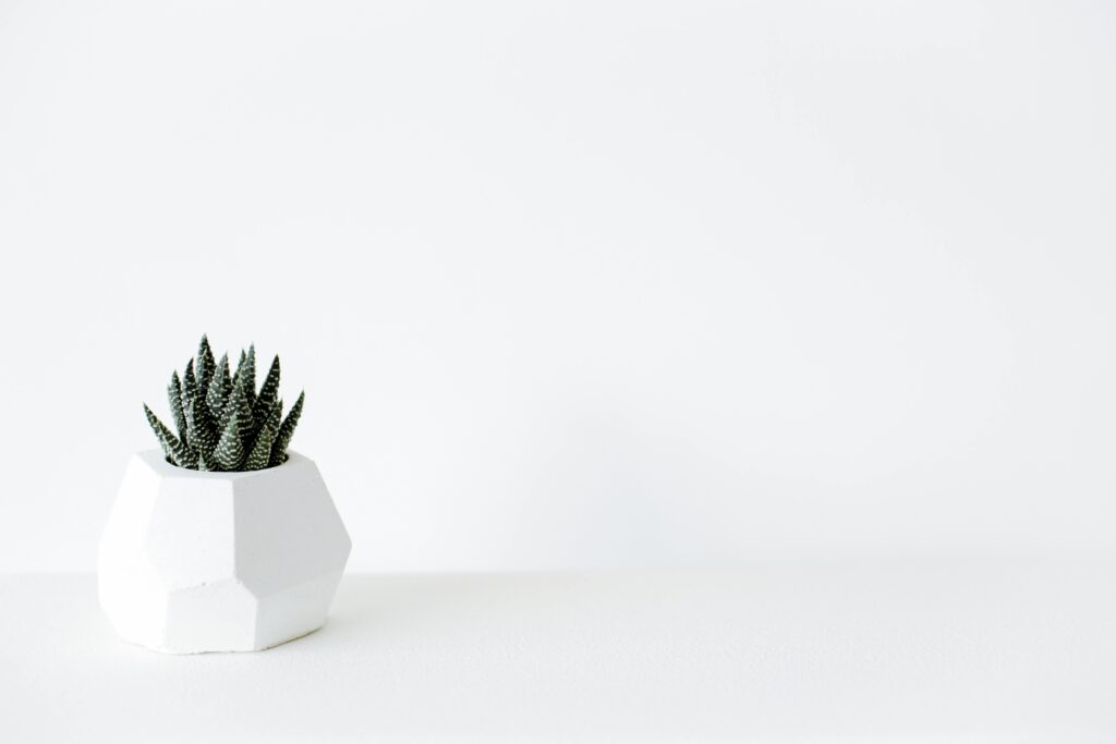 Stylish white geometric pot with a green cactus on a minimalist white background.